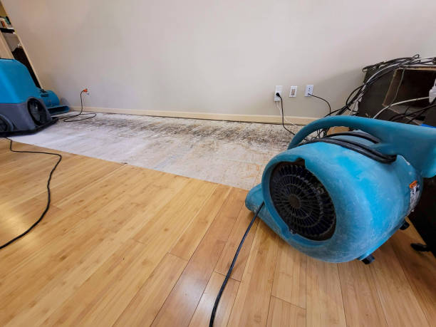 Professional Flood Damage Cleanup technician working in Adams, MN